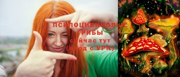 мескалин Богородицк